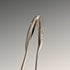 Circa 1800 British Antique Sterling Silver Sugar Tongs 25g George Smith IV